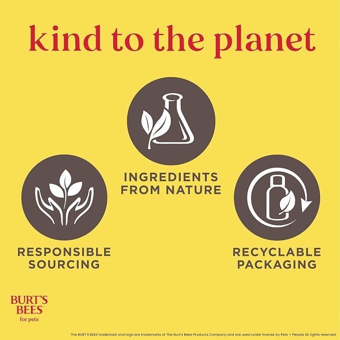 Burts Bees for Pets Itch Soothing Dog Shampoo, Honeysuckle, 16 Fl Oz, 6-Pk