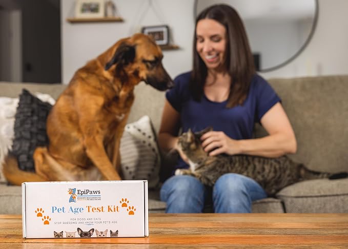 Dog Age Test