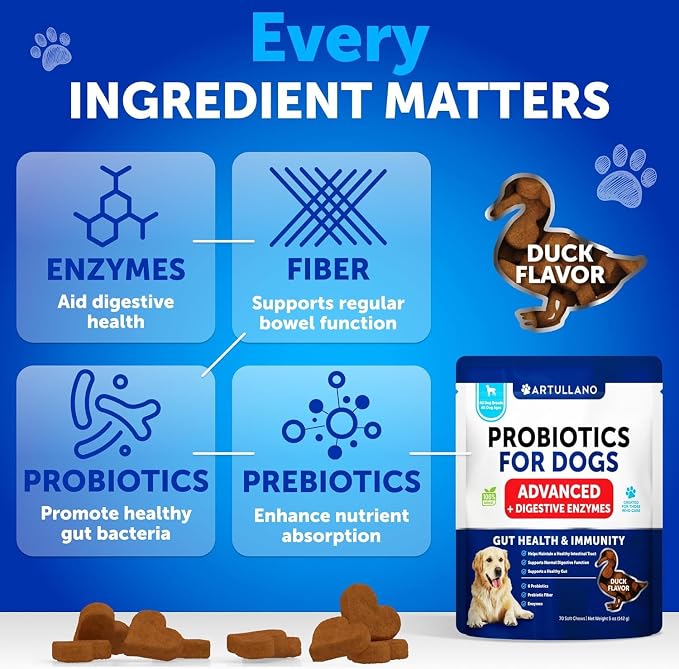 Dog Probiotic Chews + Salmon Oil Bundle - Probiotics & Prebiotics for Gut Health, Immunity, Yeast Balance, Reduces Diarrhea - Omega 3 with EPA & DHA for Skin, Coat, Joint & Allergy Support