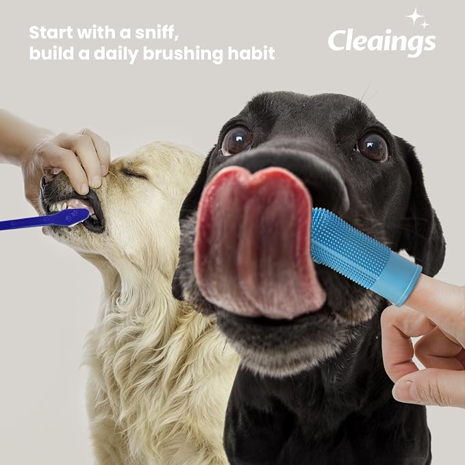 Pet Finger Toothbrush with Flavor Burst Beads, 360° Silicone Toothbrush Kit for Dogs & Cats, Deep Teeth Cleaning - 6 Pcs Mix Flavor