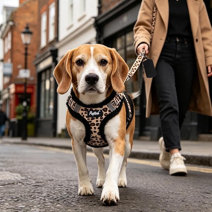PUPTECK Dog Harness and Leash Set Small Sized, Step in No Pull Adjustable Puppy Cat Harness Reflective Pet Vest