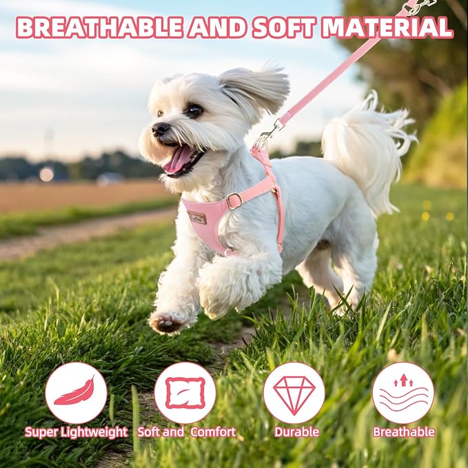 PUPTECK Dog Harness and Leash Set Small Sized, Lightweight Step-in Puppy Harness, Escape Proof No Pull Cute Pet Vest Harnesses, Pink M