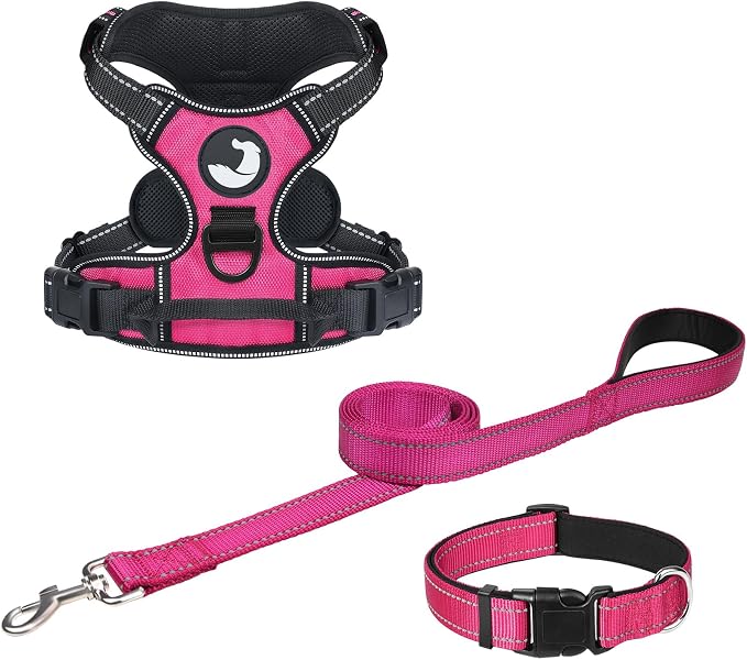 Joytale Dog Harness (Chest: 17-34"), Dog Collar and 6FT x 1" Wide Dog Leash Set, Reflective Padded Nylon Collar and Leash, Adjustable Soft Harness with Handle for Dogs