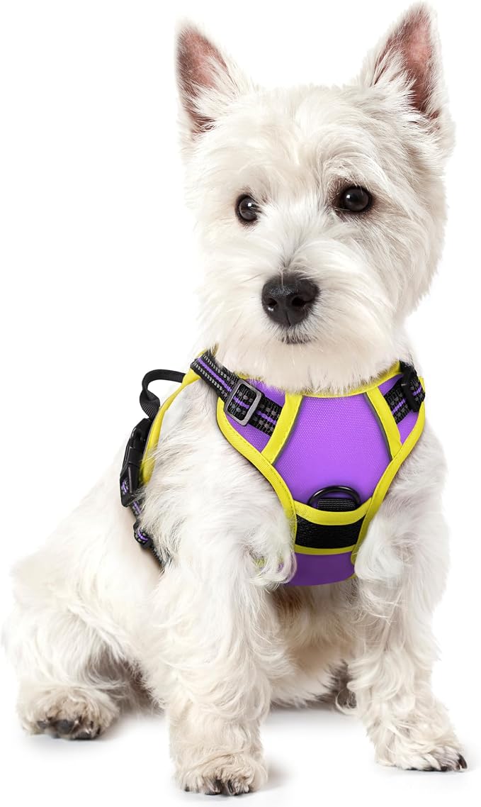 rabbitgoo Dog Harness, No Pull for Small Dogs with 2 Leash Clips, Pet Vest | No Choke with Handle, Adjustable Soft Padded, Reflective, Easy Control for Walking, Purple & Yellow, X-Small
