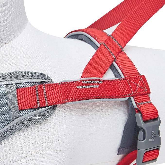 Blueberry Pet 8 Colors Soft & Comfy 3M Reflective Strips Padded Dog Harness Vest, Chest Girth 16.5" - 21", Red, Small, Nylon Adjustable Training Harnesses for Dogs