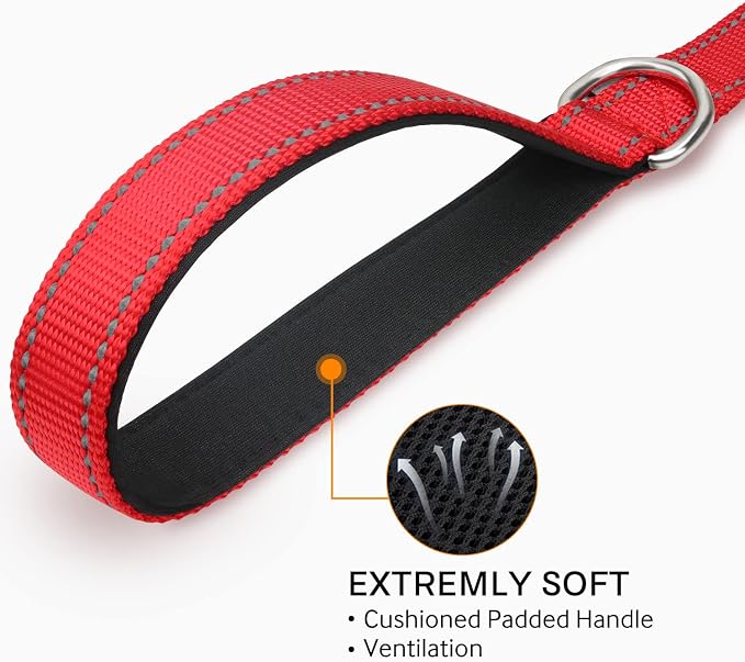 Joytale 6FT×1'' Dog Leash and Dog Collar (16-24"), Reflective Soft Neoprene Padded Pet Collars and Leashes for Large Dog, Red