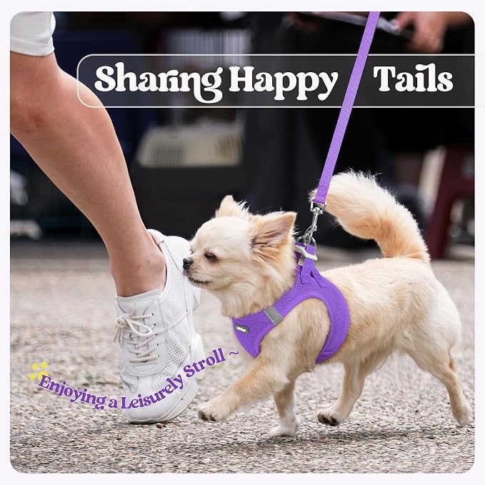 rabbitgoo Dog Harness Medium Sized and Leash Set, Step-in Puppy Pet Vest | Light, Soft, Breathable Air Mesh, Easy on and Remove with Hook & Loop, Secure Reflective for Walking, Purple L
