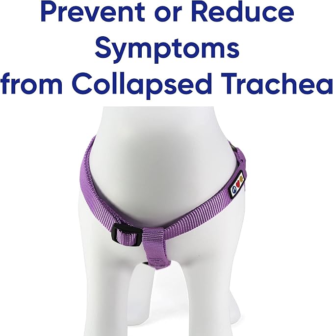 Pawtitas Value Bundle Set | Medium Dog Harness + Medium Dog Collar – Orchid Set