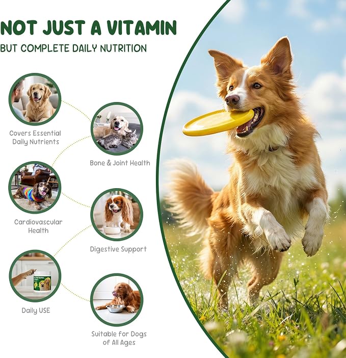 22-in-1 Grain-Free Dog Multivitamin Supplement – 90 Soft Chews for Hip & Joint Health, Immune Support, Healthy Coat & Overall Wellness – Vitamins A, B12, C, D, E, Minerals, and Antioxidants