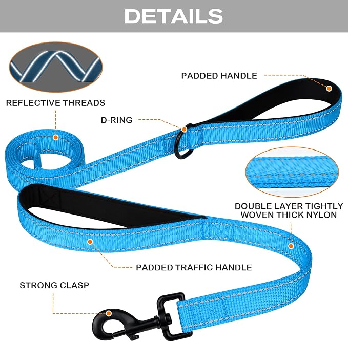 Joytale Dog Leash for Large Dogs that Pull, Double Handle, 6FT, Aqua Blue | Traffic Handle for Control, Padded Handle Reduces Hand Strain, Reflective Stitching for Night Safety, Strong Nylon Webbing
