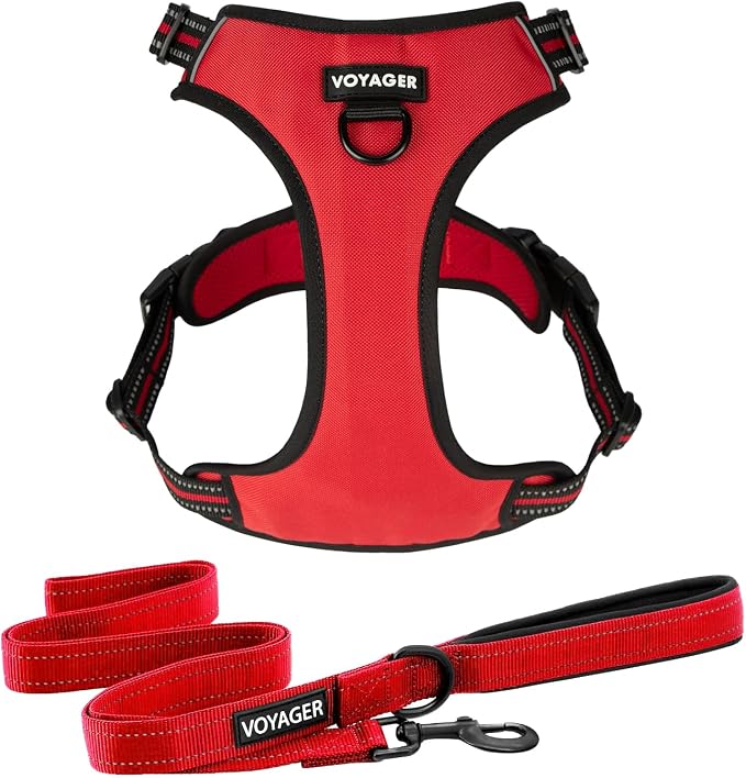 Voyager Dog Harness Dual Leash Attachment No-Pull Control Adjustable Soft but Strong Pet Harness for Medium and Large Dogs with 3M Reflective Technology, Leash Set Red Nylon, M (Chest: 20-25")