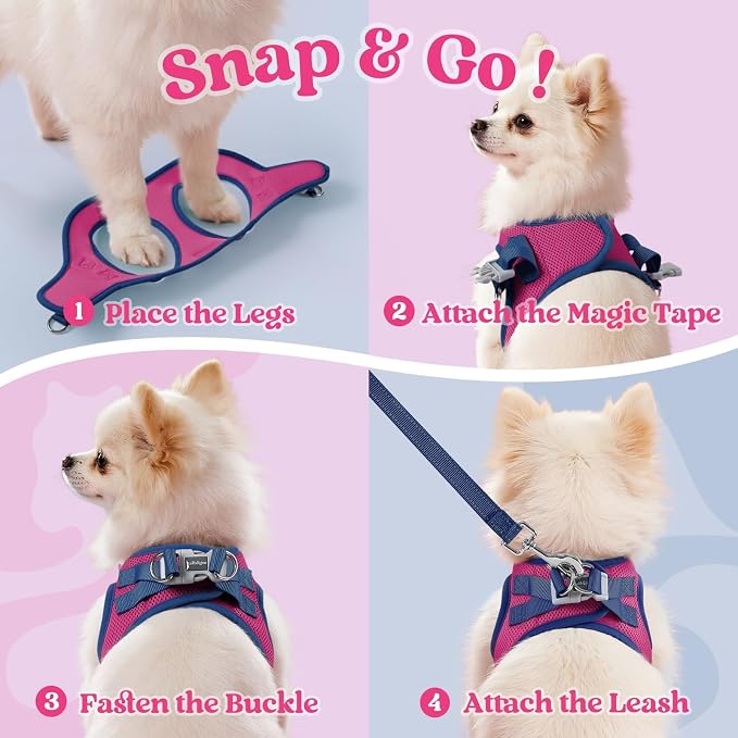 rabbitgoo Dog Harness Small Sized and Leash Set, Step in Soft Vest | Breathable Mesh, Easy Wear with Hook & Loop, Light and Reflective for Walking, Multi-colored, Rose Red & Navy Blue, XS
