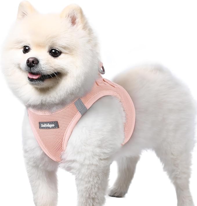 rabbitgoo Step-in Small Dog Harness, Puppy Vest for Small Sized Pet | Easy Put on and off, Lightweight, Soft, Breathable Quick-Dry Air Mesh for Comfortable Secure Walking, Pink S