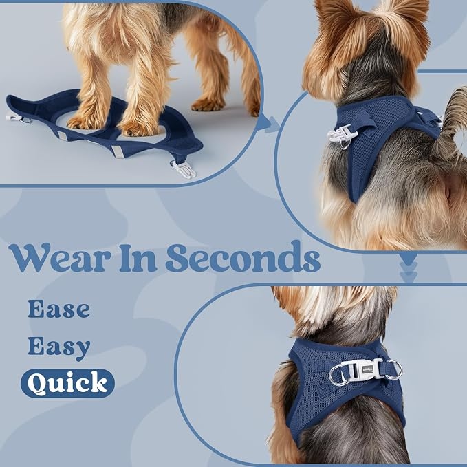 rabbitgoo Step-in Small Dog Harness, Puppy Vest for Small Sized Pet | Easy Put on and off, Lightweight, Soft, Breathable Quick-Dry Air Mesh for Comfortable Secure Walking, Navy Blue XXS