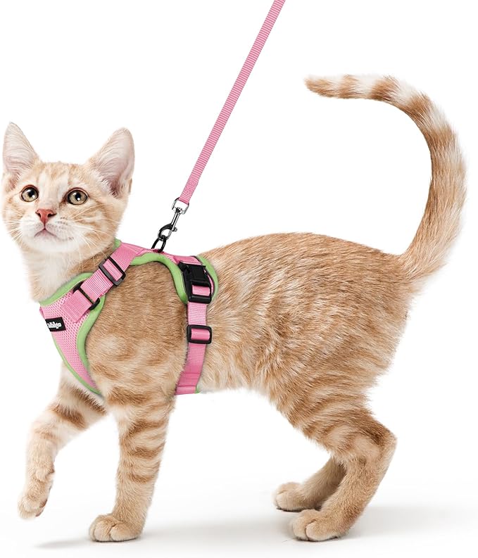 rabbitgoo Cat Harness and Leash Set, Escape Proof Vest, Pink & Light Green | Soft Breathable Mesh, Easy Adjustable Fit, Snap Buckles, Sturdy Clip, Reflective Strips, for Average Cats Walks, S