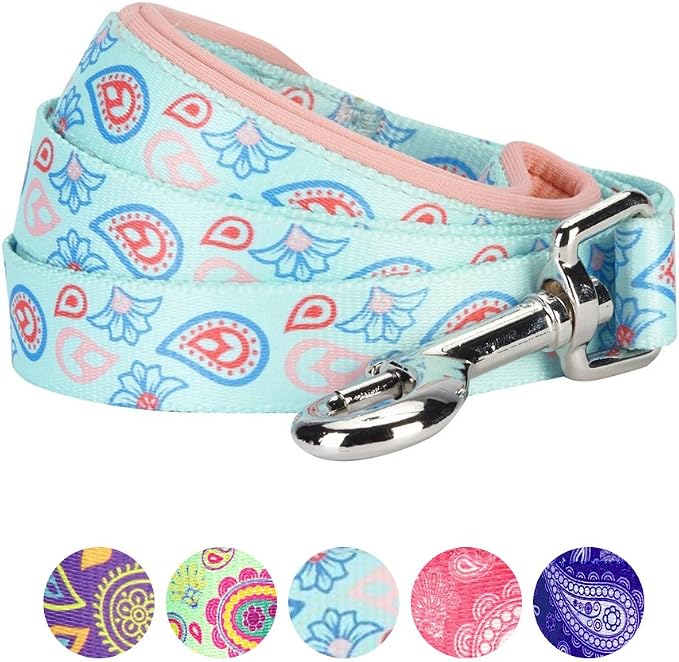 Blueberry Pet 5 Colors Paisley Flower Print Dog Leash with Soft & Comfortable Handle, 4 ft x 1", Pastel Blue, Large, Leashes for Dogs