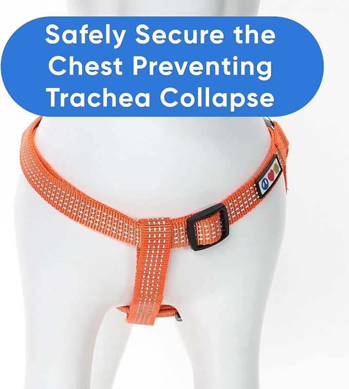Pawtitas Reflective Step-in Dog Harness – Adjustable No-Pull Vest for Puppies to Seniors, Safe & Comfortable, M Orange