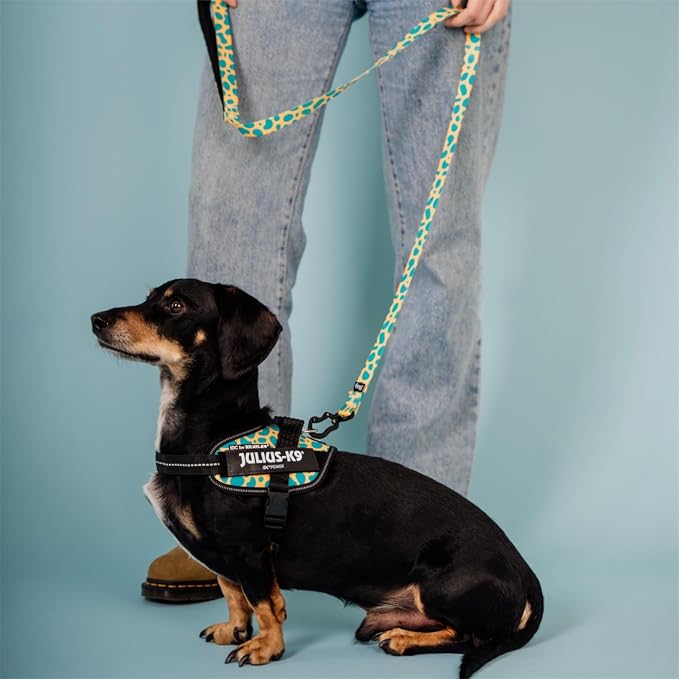 Julius-K9, 24IDCK9-LPRD-M, IDC Powerharness, Dog Harness, Size: Medium Leopard (M)