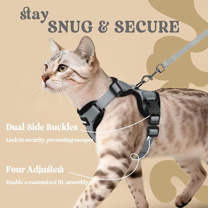 rabbitgoo Cat Harness and Leash Set, Escape Proof Vest, Grey | Soft Breathable Mesh, Easy Adjustable Fit, Snap Buckles, Sturdy Clip, Reflective Strips, for Small & Average Cats Walks, Xs