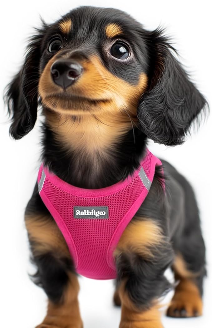 rabbitgoo Step-in Small Dog Harness, Puppy Vest for Small Sized Pet | Easy Put on and off, Lightweight, Soft, Breathable Quick-Dry Air Mesh for Comfortable Secure Walking, Rose Red XXS
