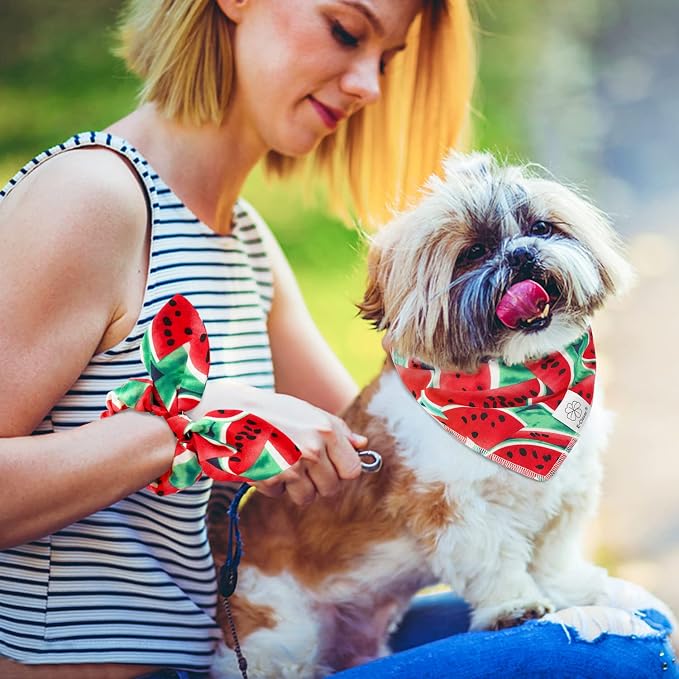 E-Clover Summer Dog Bandanas Girl Matching Dog Bandana and Scrunchie Large, Large-set of 1, Large