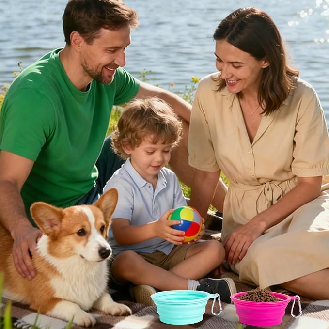 SLSON Macaron Collapsible Dog Bowl, 2 Pack, Small, Bright Pink & Bright Green