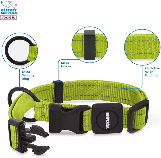 Best Pet Supplies Voyager Reflective Dog Leash or Collar with Neoprene Handle, for Small, Medium, and Large Breed Puppies, Cute and Heavy Duty for Walking, Running and Training - Lime Green, M