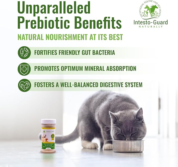 Powder Dog Probiotic, Prebiotic Puppies, No Animal By-Products, 2-Gram Scoop Contains 1.5 Billion, Digestive Health, Gut Support, Immune Boost – Vet-Formulated Powder for Maximum Potency – 180G Bottle