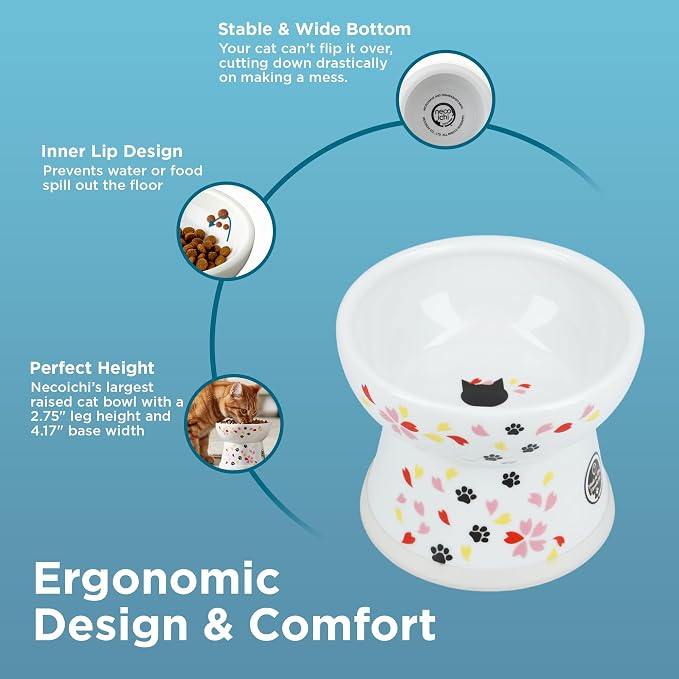 Necoichi Raised Cat Food Bowl – Ceramic Elevated Cat Bowl for Whisker & Neck Fatigue, Dishwasher Microwave Safe – Non-Slip & Anti Vomiting Ergonomic Design (Sakura Floral, Large, 2-Cup Capacity)