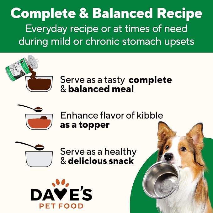 Dave's Pet Food Bland Dog Food for Sensitive Stomachs, Lamb & Rice 13.2 oz