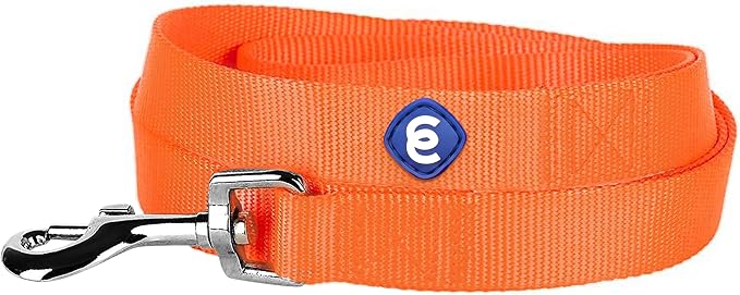 Blueberry Pet Essentials Florence Orange Dog Leash for X-Small -5' * 3/8" Dogs | Heavy Duty Nylon Lead | Lightweight Puppy & Cat Leash for Walking & Training
