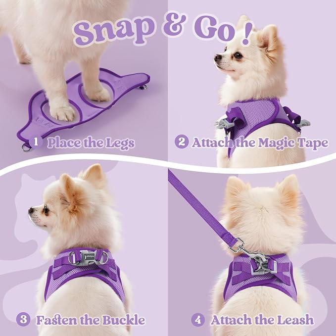 rabbitgoo Dog Harness Small Sized and Leash Set, Step in Soft Vest | Breathable Mesh, Easy Wear with Hook & Loop, Light and Reflective for Walking, Multi-colored, Light Purple & Purple, M