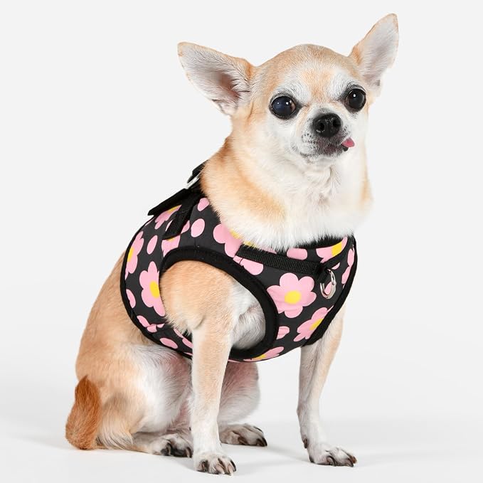 Puppia Bacopas Dog Vest Harness B (Step-in) Fashionable Flower Pattern Spring Summer Harness for Small and Medium Dogs, Black, Small