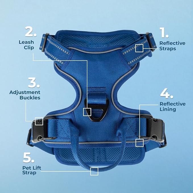 Voyager Dual Attachment No Pull Harness - Royal Blue, X-Small | 13 - 16" in Chest, No Pull Dog Harness, Fully Adjustable, 3M Reflective Technology, Front & Back D-Rings, Walking & Training
