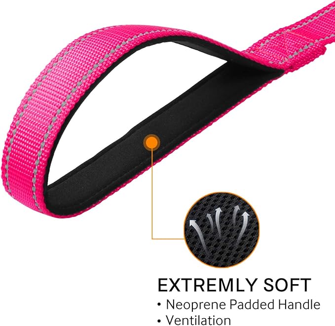 Joytale 6FT1'' Dog Leash and Collar (16-24"), Reflective Soft Neoprene Padded Pet Collars and Leashes for Large Dogs, Hotpink