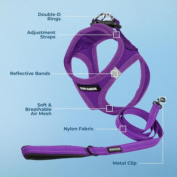 Best Pet Supplies Voyager Step-in Air All Weather Mesh Harness and Reflective Dog 5ft Leash Combo with Neoprene Handle, for Small, Medium and Large Breed Puppies - Purple, X-Small