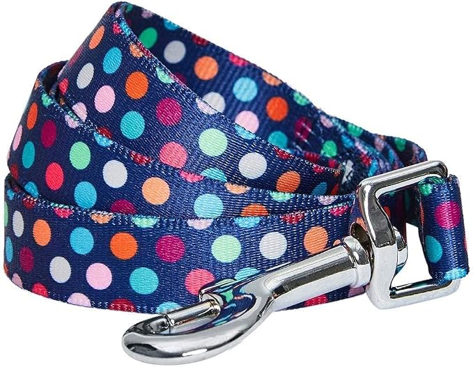 Blueberry Pet Valentine's Day Dog Leash, Velvety Soft-Touch Heart Flocking Lead for Large Dogs, Rainbow Polka Dots, 4 ft x 1"