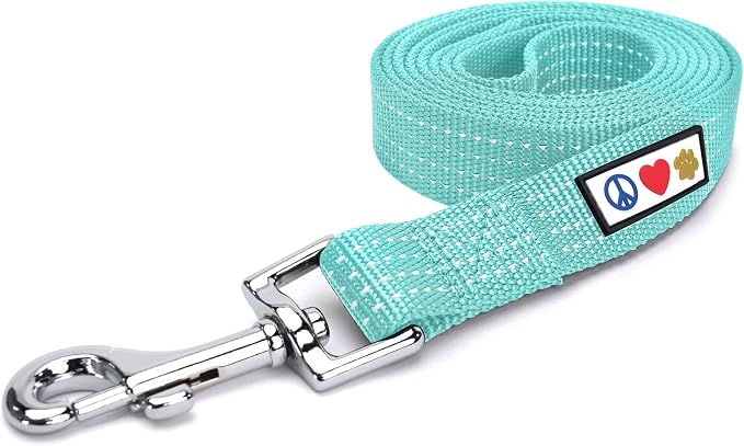 Pawtitas Teal Dog Leash 6 ft XS/S Reflective Durable Lightweight Dog Lead for Small Dogs and Puppies