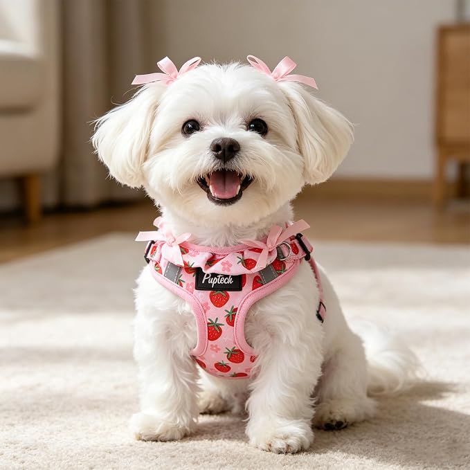 PUPTECK Dog Harness and Leash Set Small Sized, Step in No Pull Adjustable Puppy Cat Harness Reflective Pet Vest