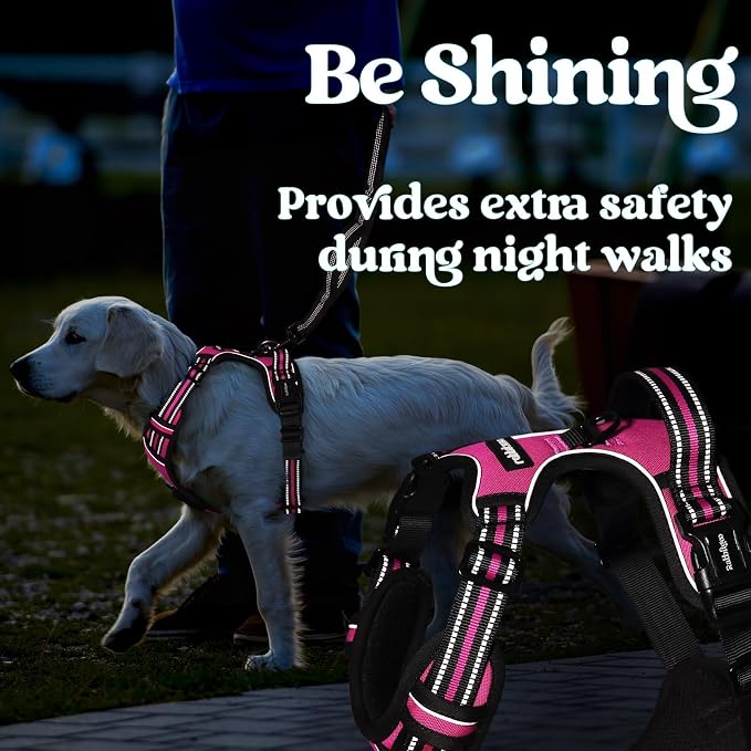 rabbitgoo Dog Harness Small Sized, Updated Easy On & Off with 3 Buckles | No Pull No Choke, Walking with 2 Clips and Handle, Adjustable Soft Reflective, Rose Pink, Small