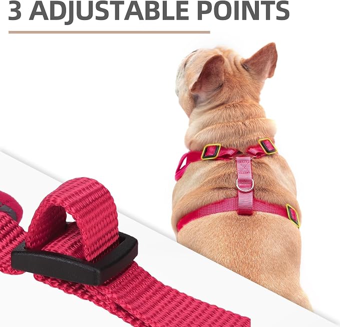 PUPTECK Small Dog Harness and Leash Set, No Pull Adjustable Puppy Cat Harness, Reflective Soft Mesh Pet Vest Small Sized, Fuchsia, M