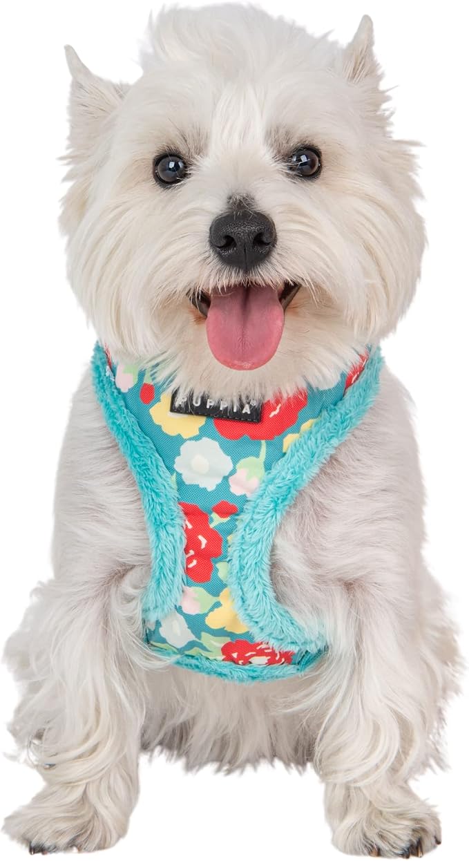 Puppia Alyssa Dog Harness Over-The-Head Warm Winter Flower Pattern Adjustable Chest for Small and Medium Dog, Aqua, Small