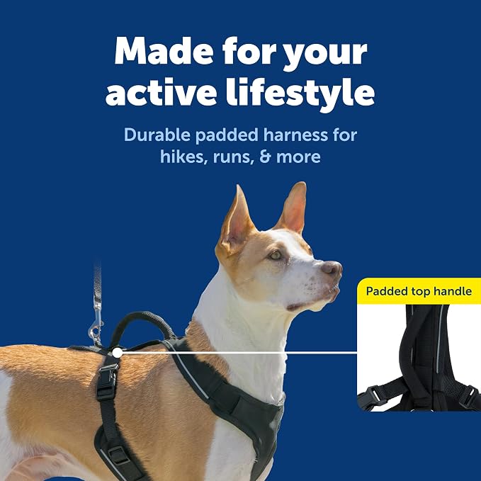 PetSafe EasySport Dog Harness, Adjustable Padded Dog Harness with Control Handle and Reflective Piping, From the Makers of the Easy Walk Harness,Black,Medium | Padded, Elastic Neckline Harness for Active Dogs, Reflective Piping for Visibility, Top Cont...