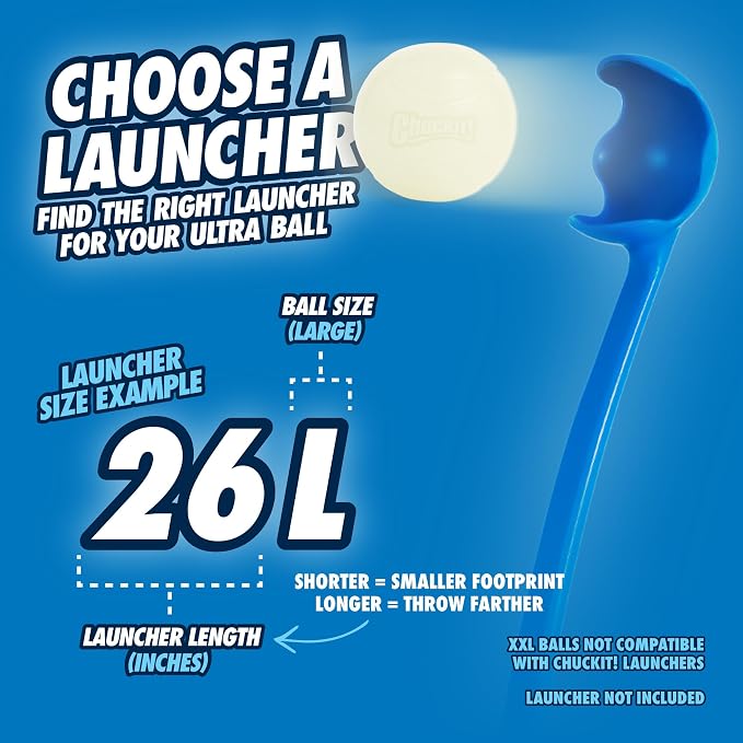 Chuckit! Max Glowin the Dark Bouncy Ball for Dogs, Large 3in, 1 Pack