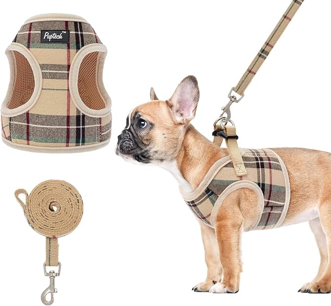 PUPTECK Soft Mesh Dog Harness Small Sized and Leash Set Step-in Plaid Puppy Padded No Pull Vest Harness for XS Dogs Cats Outdoor Walking, Beige S, Chest 14"-15"