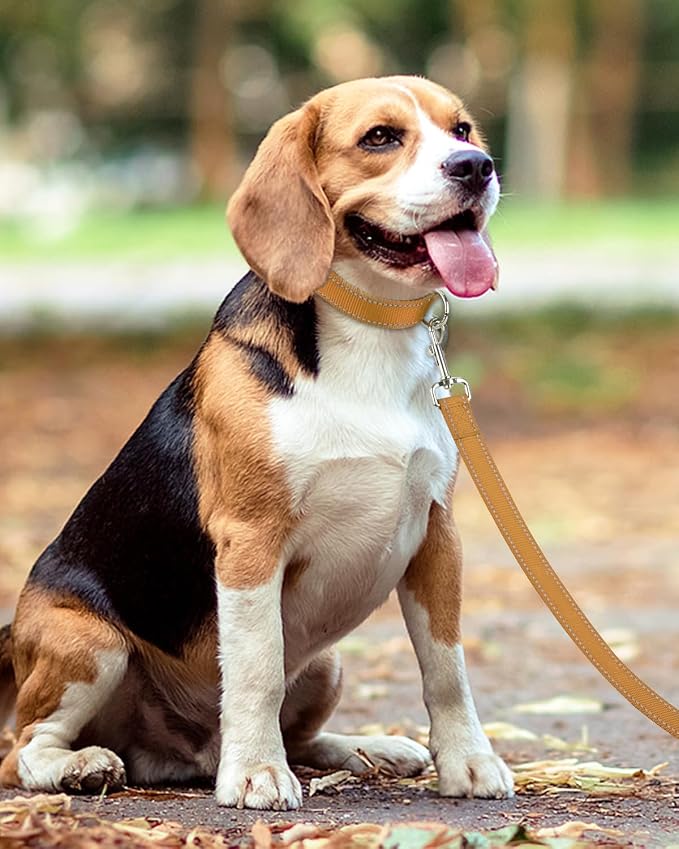 Taglory Reflective Dog Leash for Small Dogs, 3/4in x 4ft, Tan | Ideal for Night Walking, Strong for Sudden Pulls, Lightweight & Gentle on the Neck, Soft Padded Handle