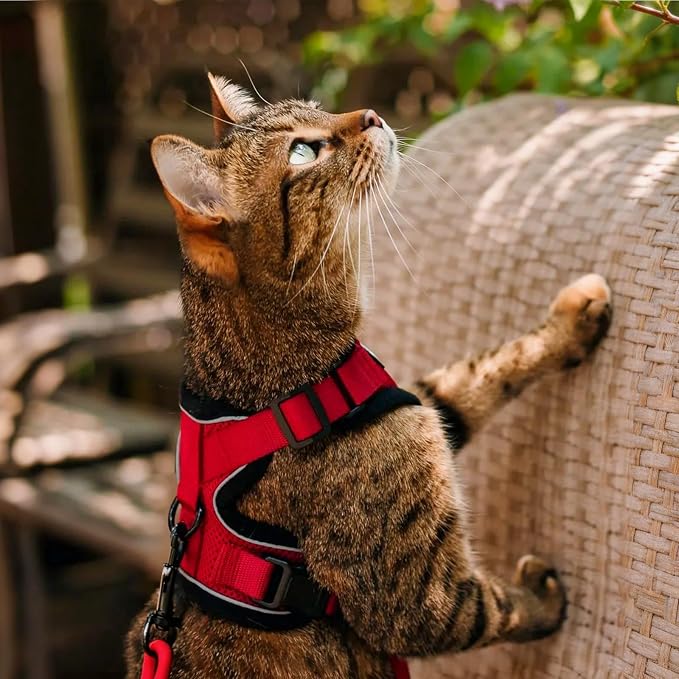rabbitgoo Cat Harness and Leash Set, Escape Proof Vest, Red | Soft Breathable Mesh, Easy Adjustable Fit, Snap Buckles, Sturdy Clip, Reflective Strips, for Average Cats Walks, S