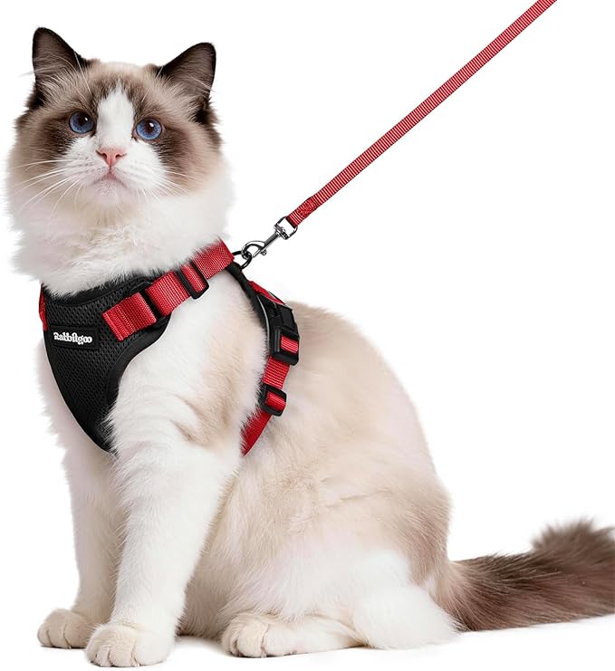 rabbitgoo Cat Harness and Leash Set, Escape Proof Vest, Black & Red | Soft Breathable Mesh, Easy Adjustable Fit, Snap Buckles, Sturdy Clip, Reflective Strips, for Medium to Large Cats Walks, M
