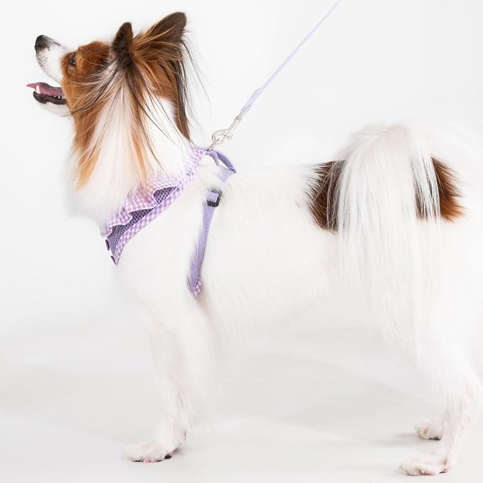 Puppia Vivien Dog Harness A (Over-the-Head) Fashionable Mesh Spring Summer Harness for Small Dogs, Violet, Small