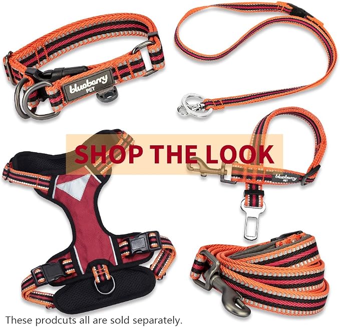Blueberry Pet Soft & Comfy 3M Reflective Dog Harness Vest | Mesh Padded No Pull Dog Harness w/Back Clips | Multi-Colored Stripe - Orange and Black | Reflective Dog Harness for Large Dogs